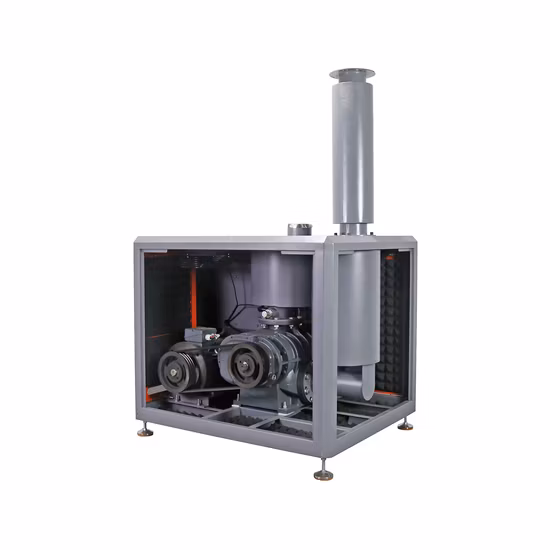 Vacuum Pump Roots Liquid